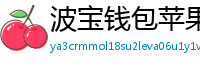 波宝钱包苹果版安装教程